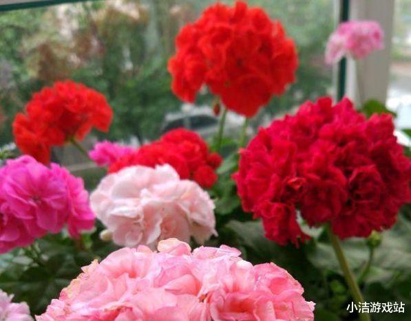 天秤座▲8天后，桃花不断，爱意不绝，3星座心难自控，重返旧情