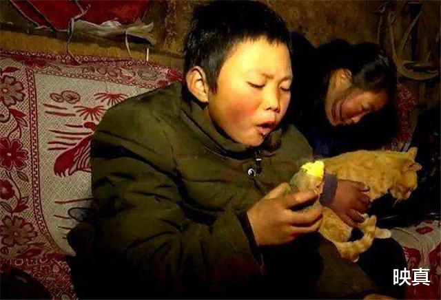 映真|当年那个走4.5公里山路上学，满头冰花的男孩，如今怎样了？