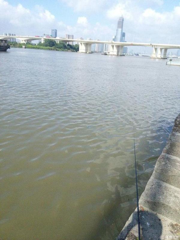 |珠江钓鱼，拉起一条“人腿”？男子：这辈子都不去那里钓鱼了