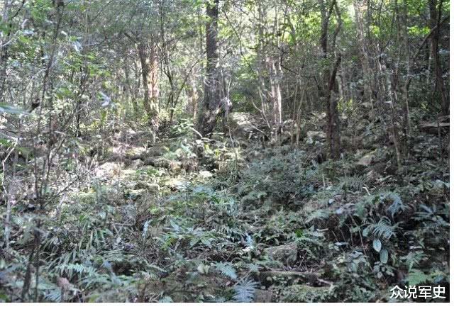 『狙击手』每张图都隐藏着一名狙击手，能一眼看出的人，很有飞行员的潜质