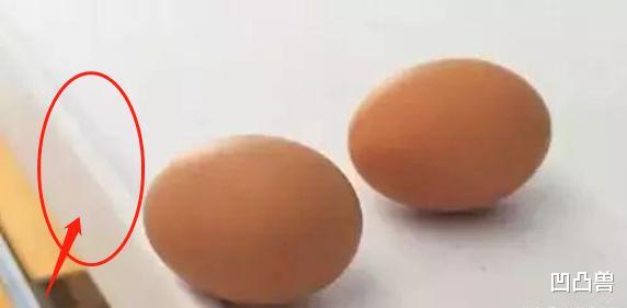 【】刚搬新家濒临崩溃！接连犯了16条装修坑，个个坑到想扇自己