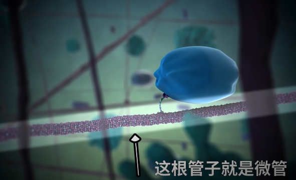 科学家|人体内存在一台量子计算机,你的灵魂可能真实存在,就在身体的这个地方