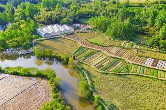 臆说古史|腾讯元老辞职到安徽隐居，造出一花园农场，每天对着200亩地发呆