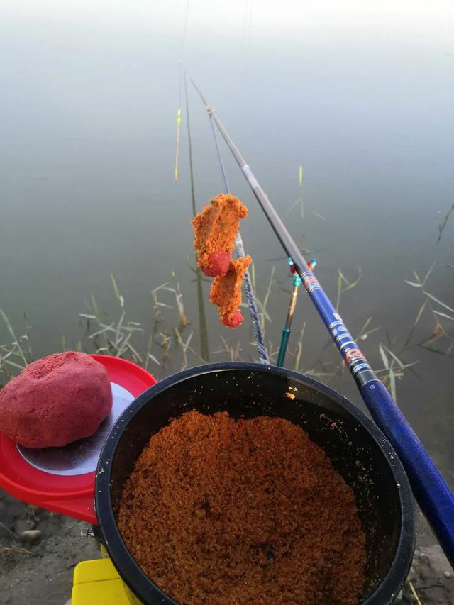 |钓鱼开饵很关键，但饵料返水的根源到底是什么？该如何应对？