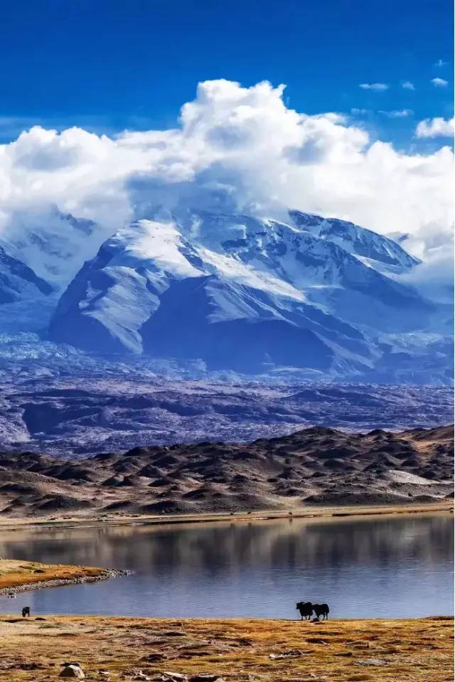 威尼斯|南疆、南疆，你要的南疆！