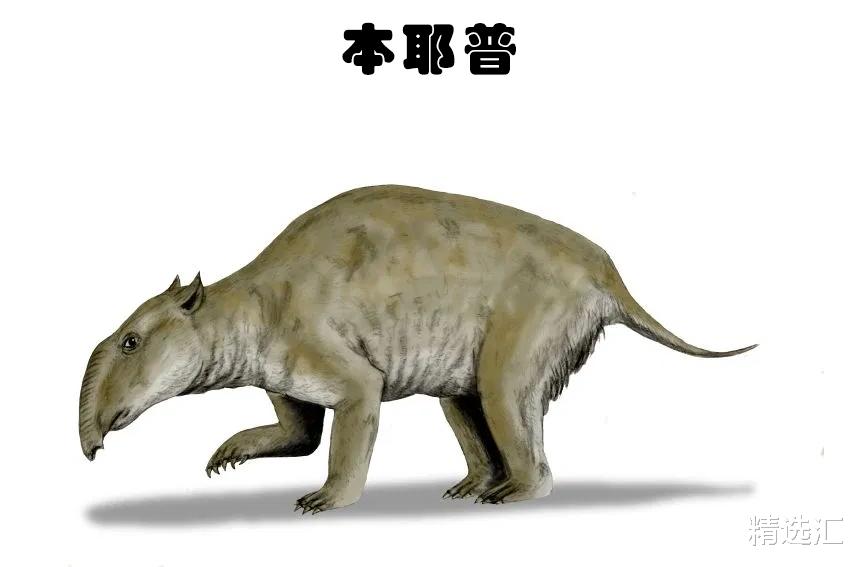 狮子|虽被认为是虚构，但在某种意义上真实存在的9种生物