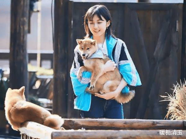 「张子枫」向往的生活:为何张子枫在节目中频繁的喝牛奶?真实原因惹人心疼