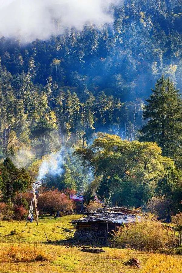 林芝|林芝一定要来两次,一次是春天,一次是秋天