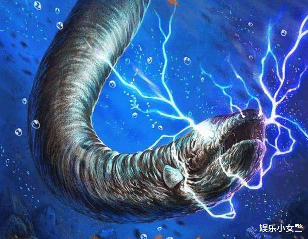 电鳗|亚马逊河最“霸道”的顶级杀手，鳄鱼躲着走，除人类没有任何天敌