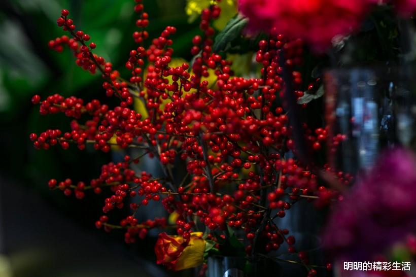 生肖■添喜添财,6月30号,有贵人扶持,喜事不断的3大生肖