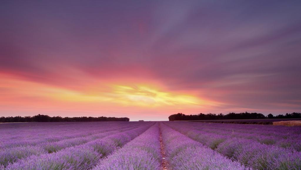 金牛座|11月下旬,邂逅美好,深情等待,挚爱归来,紧紧相拥,生死不离