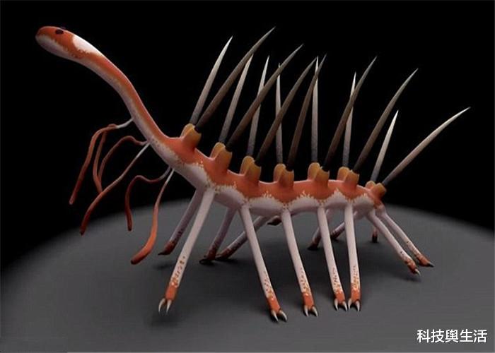 【科学家】史上长相最奇葩的生物，见尾不见头，科学家都被它骗了！