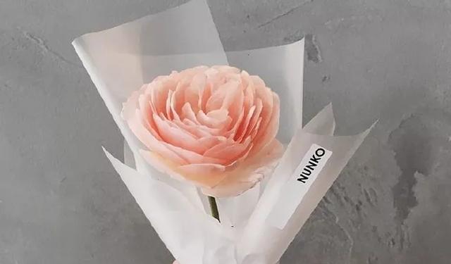 生肖|9月行好运,不缺赚钱机会,4生肖事业平步青云,事事顺遂