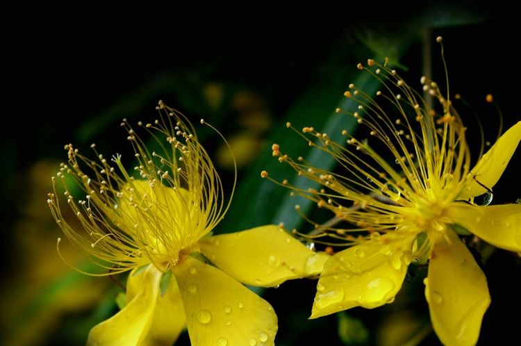 生肖|9月份开始，天降亨通，财运走俏，真爱就是灯火阑珊处的4大星座