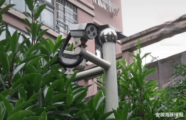 安徽海豚播报|女子在家离奇失踪，所有监控都没拍到她离开，警方地毯式搜索无果