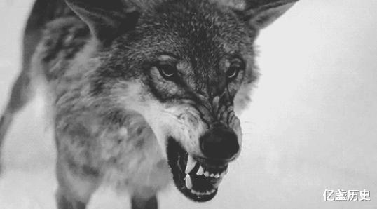 日军|一八路军夜行无人区,遇野狼追击爬树上躲避,一队日军竟恰巧路过