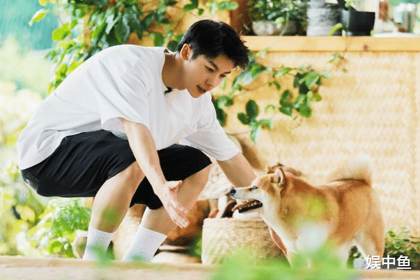 许光汉|许光汉点燃《向往》沉寂已久的导火索，或许这档综艺是时候结束了！