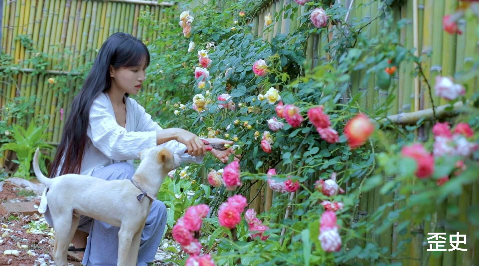 【】西方为什么不假思索的污蔑中国？因为我们的这个错误！