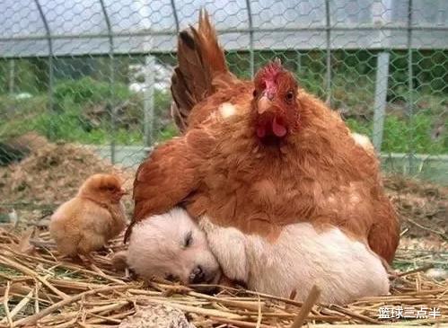 「世界观」25个没啥用的科学冷知识, 但也许能颠覆你的世界观