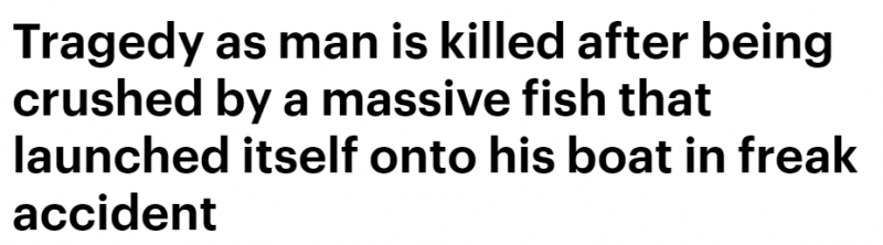 饵料|澳洲渔民钓鱼时被鱼“拍死”