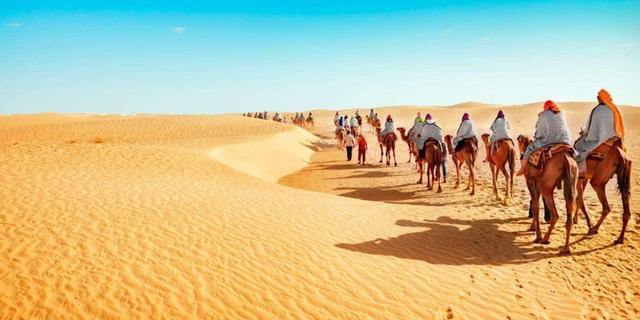 市井哨年 在沙漠里看见“石头”,果断地捡起来,驴友:不捡后悔莫及