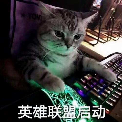 显卡|1650完全够用了，为什么有人买五六千的显卡？显卡是消费骗局吗？