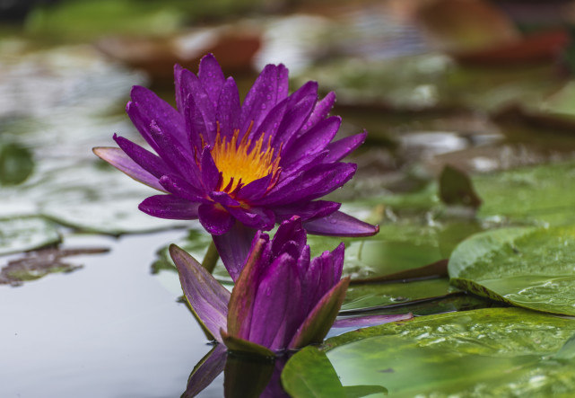 [处女座]一恋爱就走心的星座，越爱越痴情，傻得让人心疼