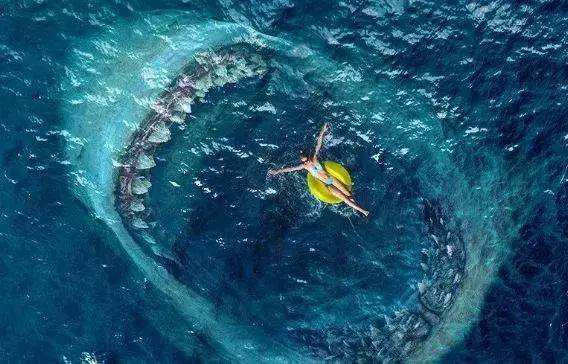 沧龙|海洋已知最强30吨咬合力！巨齿鲨真的就打不过沧龙吗？