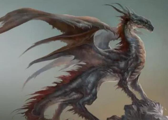 #美洲#中国龙,印度龙,欧洲龙,美洲龙,为什么全球都有龙文化?