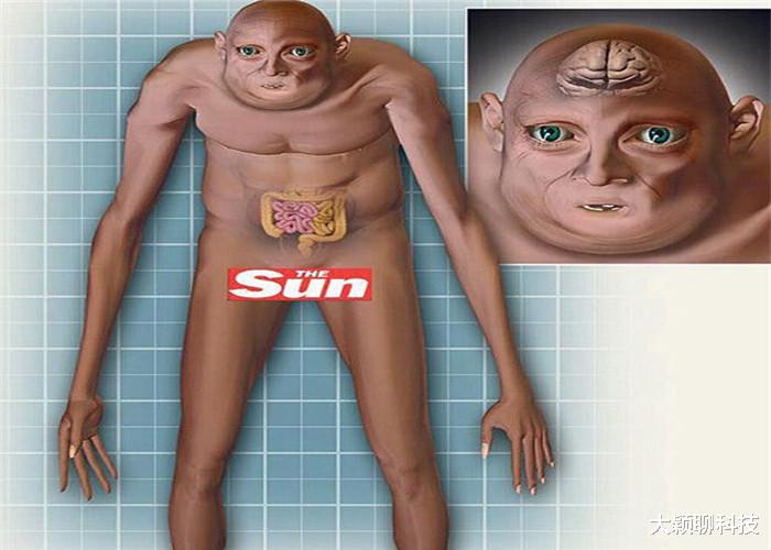 中国航天:人类已经进化完成?科学家模拟出100年后的人类,幸亏早出生了!