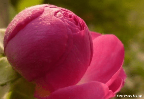 #吉星#6月中旬，吉星照耀，4属相霉运走财气来，大吉大利走大运