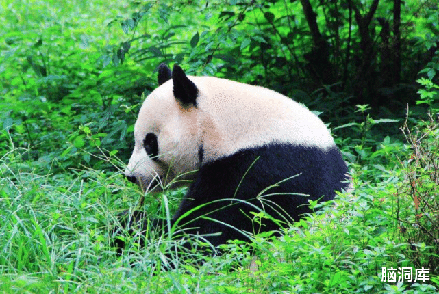 [穷游]最适合穷游的3个城市，消费不仅很低，还有很多免费的景点