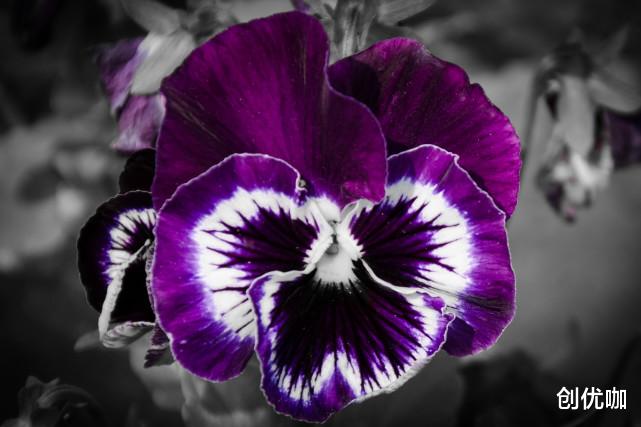 白羊座|9月,苦尽甘来,一路贵人相助,好消息纷至沓来的3个星座