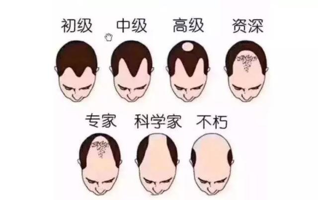 程序员|程序员的八个级别，来看看你是第几级~