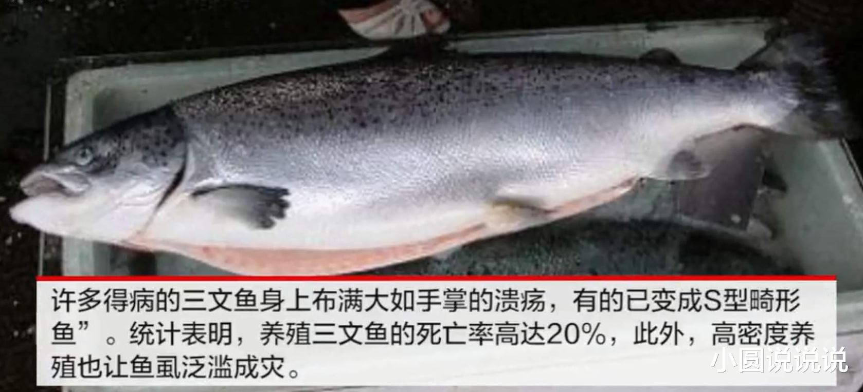 挪威▲挪威坐不住了！北京疫情“升级”，病毒来源“真相大白”，世卫组织正式发声！