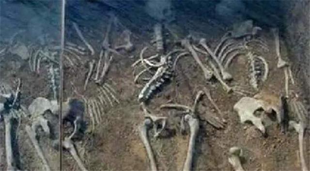 #张乐行#河北挖出纪晓岚墓,7名女子枯坐墓中,揭露了他的“真实面目”