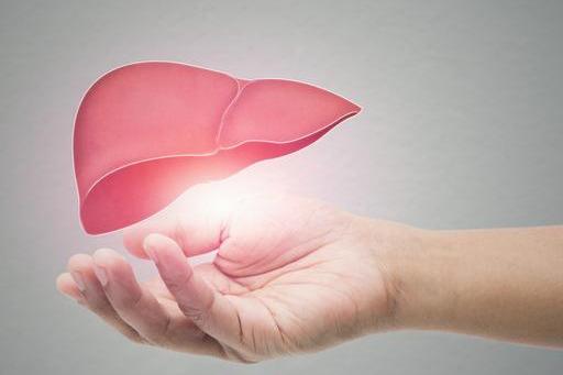 #肝脏#肝功能强大的人，身上会有5个表现，能占3个以上的，肝不会差