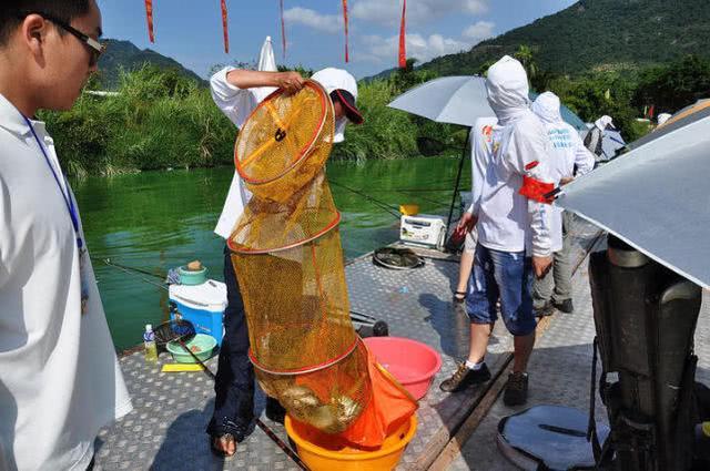 |老钓手一定比新钓手更厉害吗？别被忽悠了