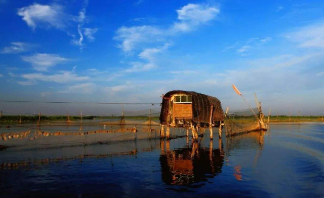 白洋淀：曾经“痛失人心”景区，如今“洗心革面”，希望能够重俘游客芳心