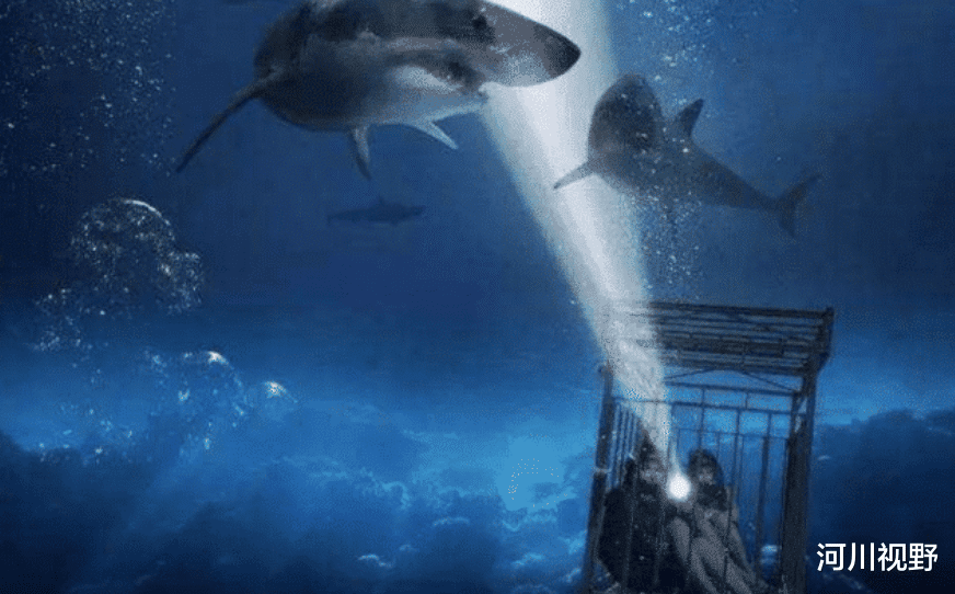 科学家|深海一万米到底有多什么?科学家:海底的生物足够吓退人类!