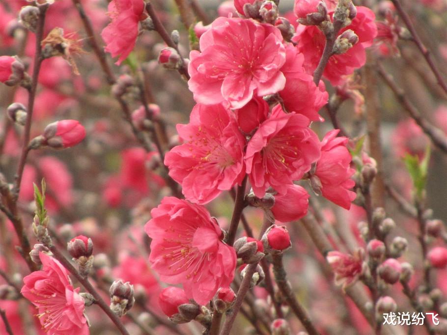 「」6月30号，此3大生肖迎来贵人，运势越来越顺，经济压力减小