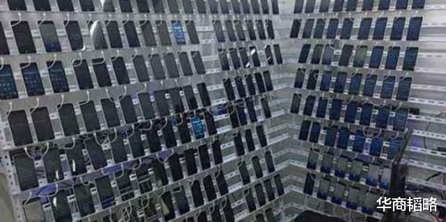 #mcn#直播带货“杀猪”：商家服务费被主播拿去放贷，连货带钱榨干你