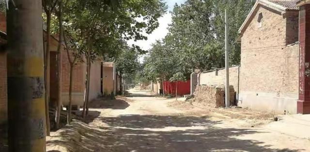 审计局■\我寒窗苦读，你金榜题名\贫困女上大学遭替：初中不让自己吃饱