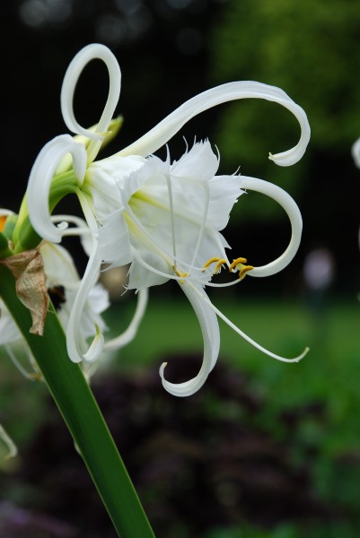 『生肖』七月份起，桃花逆袭，姻缘未散，前任再送温情的四大生肖