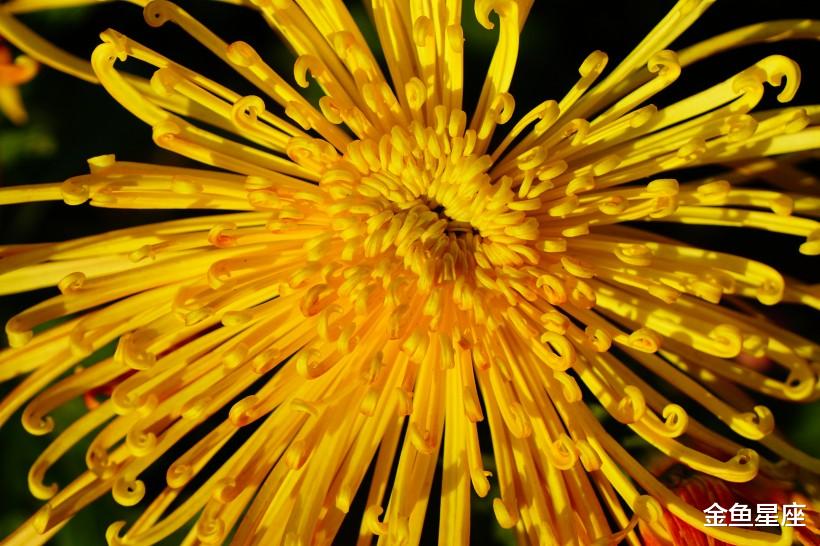 『生肖』未来7天,有吉运的生肖,贵人提携,事业一鸣惊人,恭喜恭喜