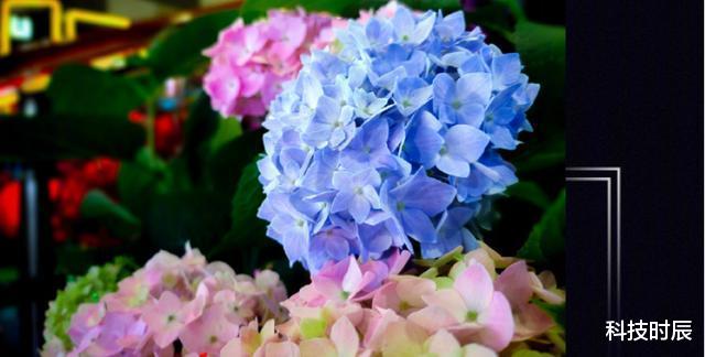 vivo▲自带云台?vivo又放大招!X50官宣:相机配置无敌