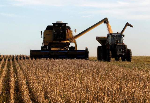 美国大豆|美国大豆“贱卖”给中国，如此好心令人不解，原来他们的心机在这