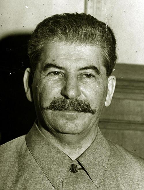 「斯大林」斯大林得知长子被俘后，为何立马将其舅舅、舅妈枪毙，并逮捕儿媳