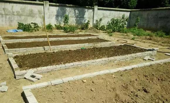 晒晒大老板的乡下别墅, 放着城里几套豪宅不住, 独爱农家小院