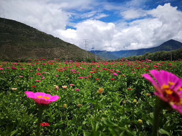 甘南@深度自驾【川西+甘南】10日环线，7月的景色堪比最美川藏线？
